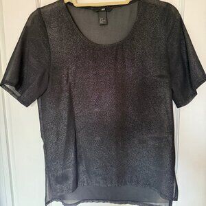 H&M Size 4 Sheer Sparkle Top